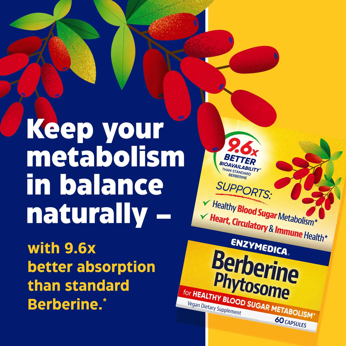 Enzymedica Berberine Phytosome | 60 Capsules