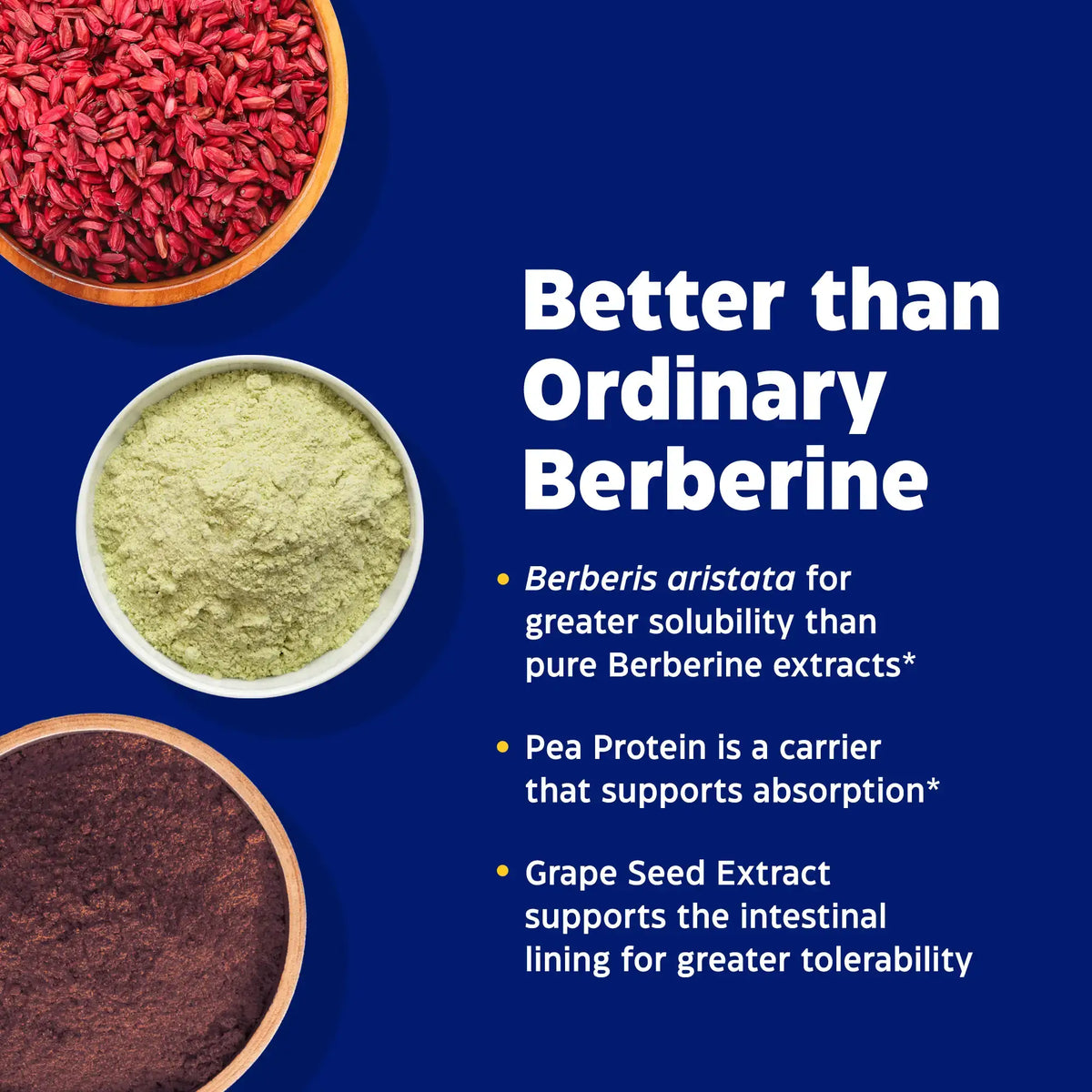 Enzymedica Berberine Phytosome | 60 Capsules
