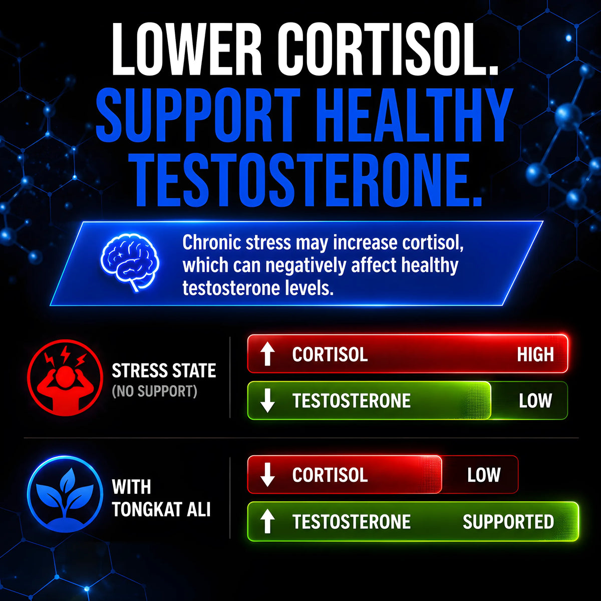 Allmax Longjack Tongkat Ali